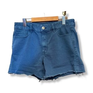 American Eagle Blue Hi-Rise Shortie Shorts